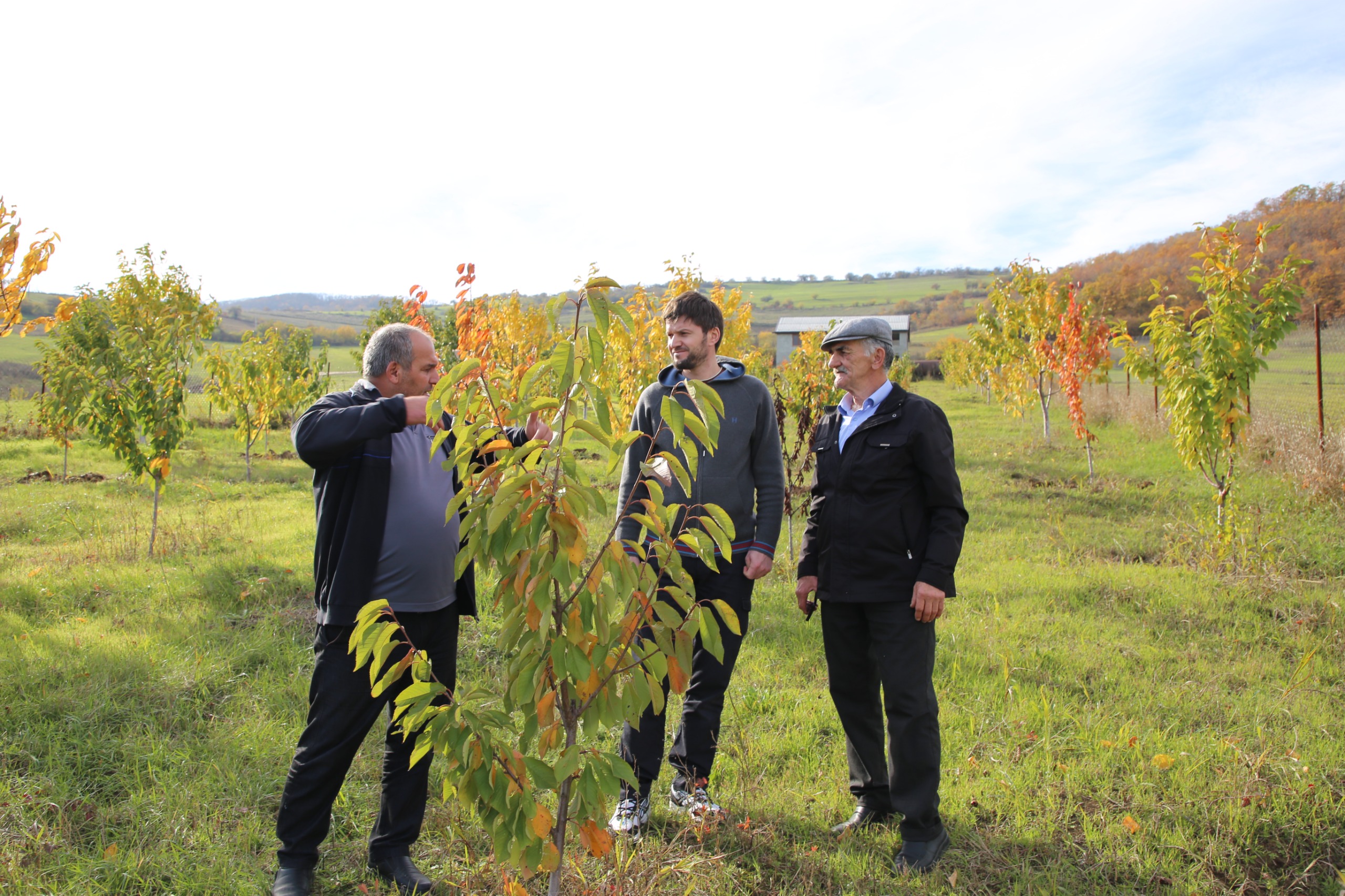 Сотрудники Минэкономразвития проверили ход реализации программы развития горных территорий в Казбековском районе